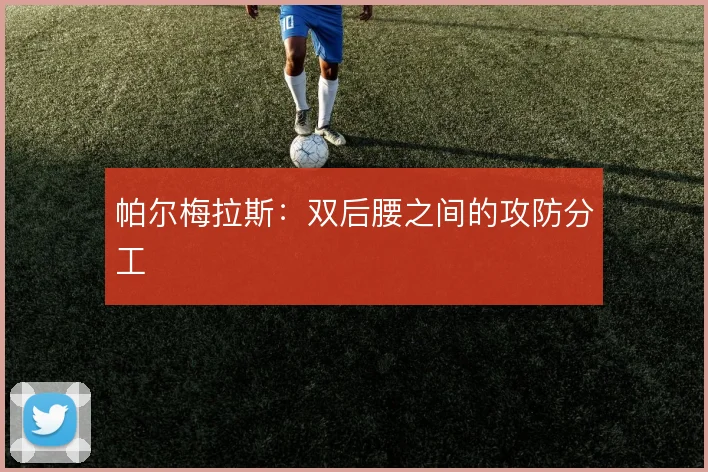 帕尔梅拉斯：双后腰之间的攻防分工