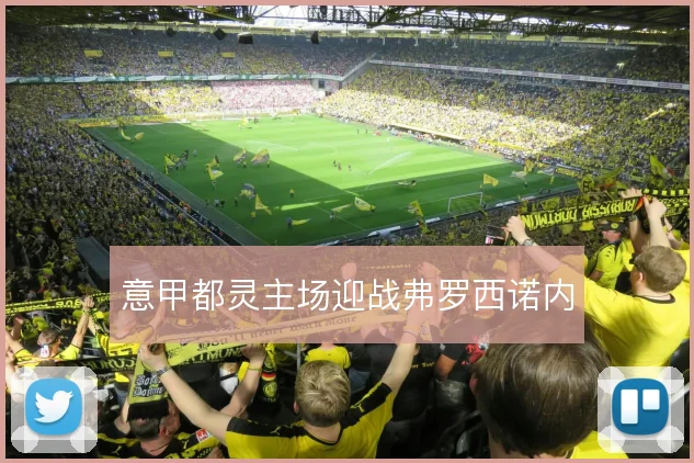 意甲都灵主场迎战弗罗西诺内